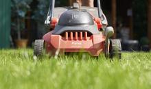 Ready steady mow and sow | The Ultimate Spring Lawn Care Guide